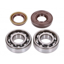 Crankshaft Bearing Set Naraku