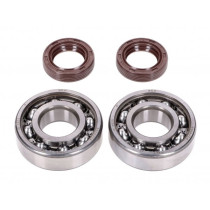Crankshaft Bearing Set Naraku