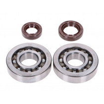 Crankshaft Bearing Set Naraku