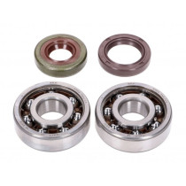 Crankshaft Bearing Set Naraku