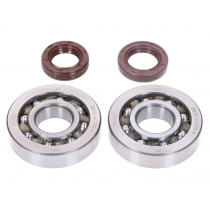 Crankshaft Bearing Set Naraku