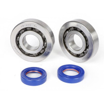 Ball Bearing Set With Oil Seals Polini Piaggio 5080cc Bb1 3055b (20x52x12mm)  C4  Steel Cage