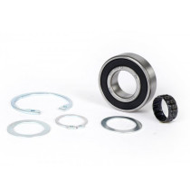 Bearing Set Polini For Polini Torsen Wd Swingarm