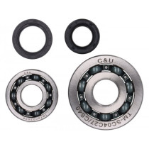 Bearing And Oil Seal Set Crankshaft Dmp