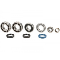 Bearing And Oil Seal Set For Engine Casing And Crankshaft Quattrini M200