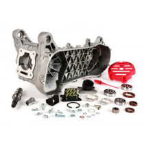 Engine Casing Malossi Rcone