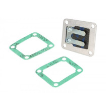 Reed Valve Polini