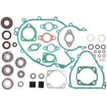 Engine Repair Kit BGM Pro Fkm/viton® (e10/etahnol Resistant)