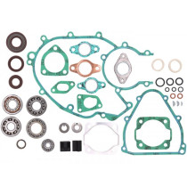 Engine Repair Kit BGM Pro Fkm/viton® (e10/etahnol Resistant)  Nu204