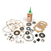Engine Repair Kit Vespa Vespa Rally200 1° (femsatronic)