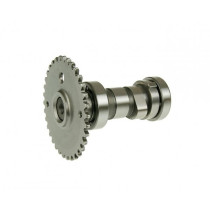 Camshaft 101 Octane