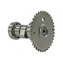Camshaft 101 Octane