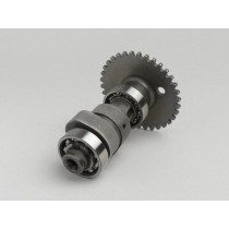 Camshaft Malossi Power Cam