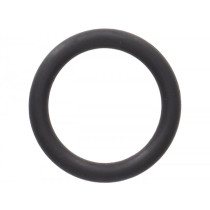 Oring Fpm Ø15x3mm BGM Original