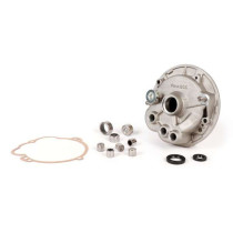 Gearbox (incl. Bearing Set) Pinasco