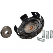 Primary Drive Fabbri Racing Reinforced  Used E.g. For Qauttrini M200