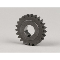 primair ritzel drt Gear Flame 3,00>3,15  23Tanden 