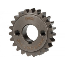Small Primary Gear Evok3.00>3.13  23 Tooth (straight)