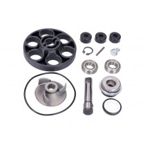 Water Pump Repair Kit 101 Octane