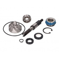 Water Pump Repair Kit 101 Octane