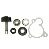 Water Pump Repair Kit 101 Octane