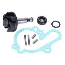 Water Pump Repair Kit 101 Octane