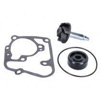Water Pump Repair Kit 101 Octane