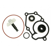 Water Pump Repair Kit 101 Octane