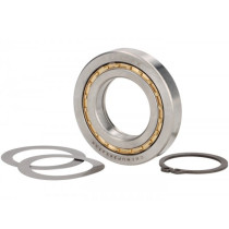 Roller Bearing Crimaz Nup 16005 (25x47x8mm)