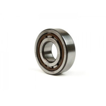 Roller Bearing Crankshaft Malossi