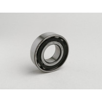 Roller Bearing N205