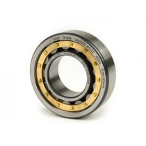 Roller Bearing Nj205 E M1c3