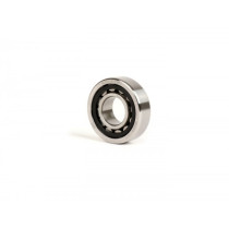 Cylindrical Roller Bearing Nke Nu204.tvp3 (20x47x14mm)