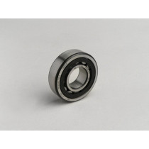 Roller Bearing Nu204etvp2