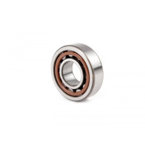 Roller Bearing Nu204 Ecp