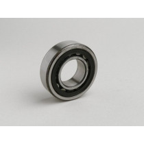 Roller Bearing Nu2205 Ecp
