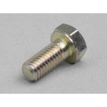 Screw Fuel Banjo Dellorto