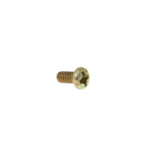 Carburetor Choke Mounting / Air Cut Valve Screw 101 Octane