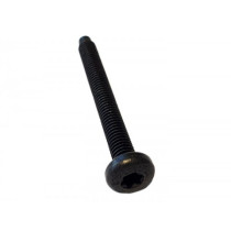 Screw Din 7985 Tx Similar M6 X 55mm