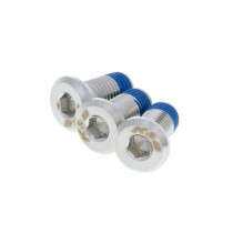 Screw Flat Head Universal For Brake Discs  3 Pieces