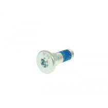 Screw Flat Head Universal For Brake Discs M8 (for Brake Discs With 10mm Hole)  1 Piece