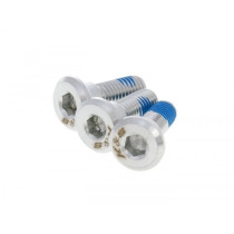 Screw Flat Head Universal For Brake Discs  3 Pieces
