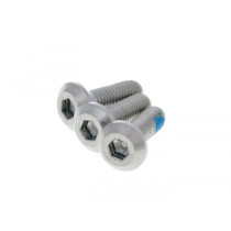 Screw Flat Head Universal For Brake Discs  3 Pieces