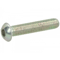 Allen Screw Flat Head Iso 7380- M6 X 30mm (stiffness 8.8)