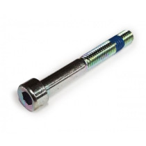 Allen Screw Iso 4762- M5 X 45 (8.8 Stiffness)