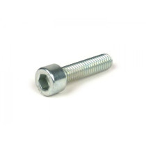 Allen Screw Iso 4762- M6 X 25 (8.8 Stiffness)