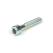Allen Screw Iso 4762- M6 X 35 (10.9 Stiffness)