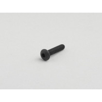 Allen Screw Iso 7380