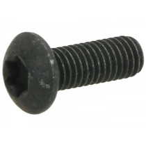 Screw Torx Iso 7380/1 M5 X 14mm Tx25