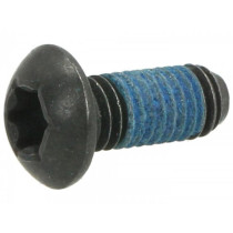 Screw Lens Head Torx M5 X 12 Iso7380-1 Tx